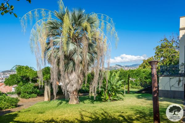garden_2