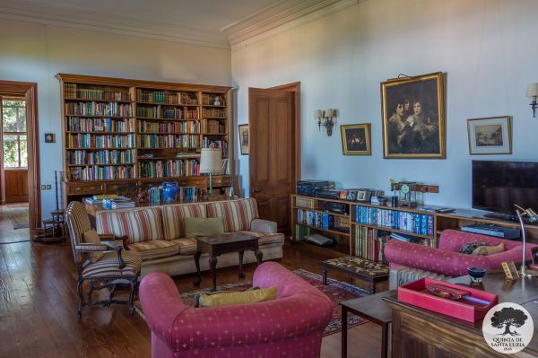 036-library_2