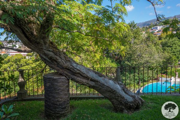 040-garden_and_pool