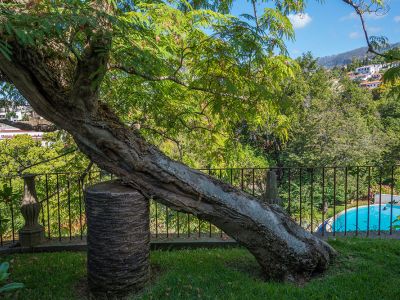Quinta de Santa Luzia