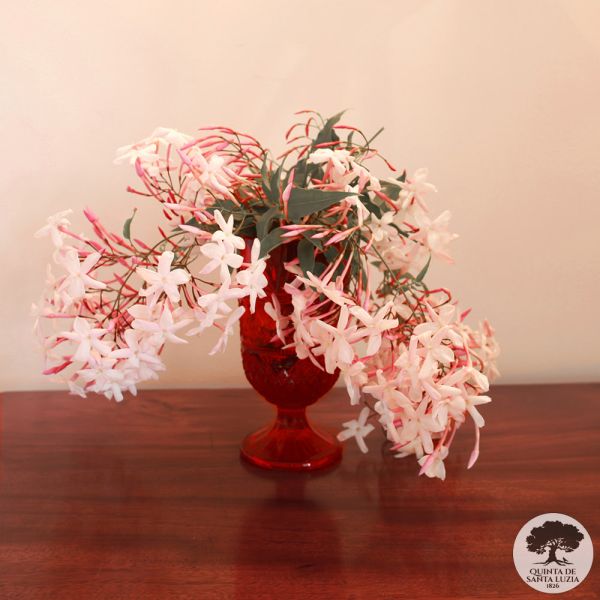 023_flowers