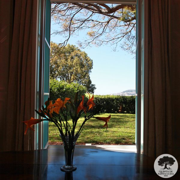 018_dining_room_view