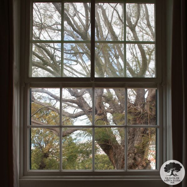 030_window_view