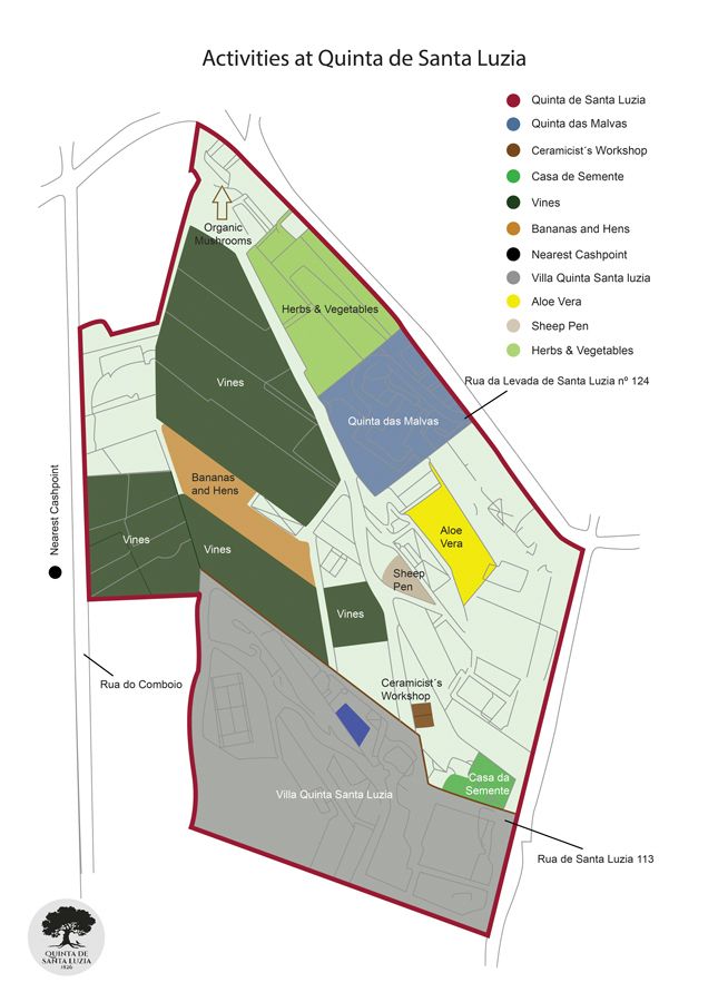 Activities at Quinta de Santa Luzia